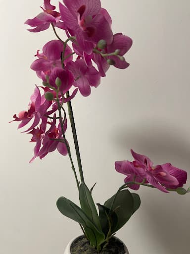 Centre dentaire Docali Lyon 9 Valmy logo